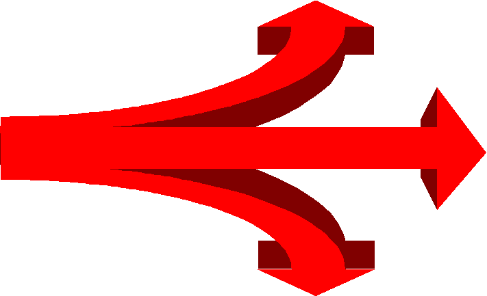 Image1